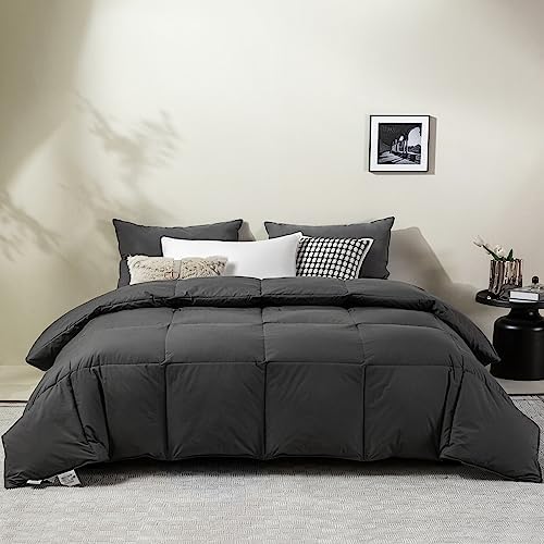LESNNCIER Luxury Medium Warmth Feather Down Comforter Queen Size,Hotel Collection All Season Duvet Insert, Ultra Soft Down Proof Polycotton Cover With 8 Tabs(Grey,90"x90")