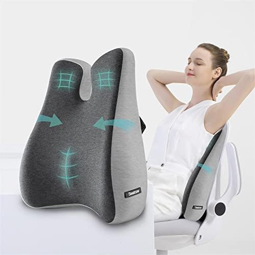 Lumbar Support Pillow For Office Chair Cushion For Back Pain Relief Memory Foam Back Support Office Chair Ergonomic Back Pillow Lumbar Chushion W/Strap For Car, Computer Gaming Chair, Recliner, Couch