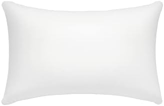  AM AEROMAX 12 ×12 Pillow Insert Memory Foam Throw Pillow Insert Sham Square For Decorative Cushion Bed Couch Sofa Without Deform After Longtime Use