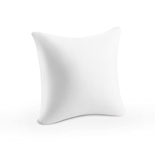  AM AEROMAX 12 ×12 Pillow Insert Memory Foam Throw Pillow Insert Sham Square For Decorative Cushion Bed Couch Sofa Without Deform After Longtime Use