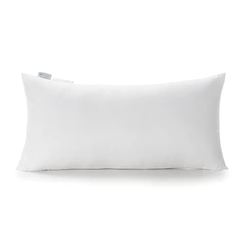  Polyester Decorative Rectangle Throw Pillow Inserts, Hypoallergenic Form Stuffer Cushion Sham Filler, 16x26, White, 1 Count (Pack Of 1)