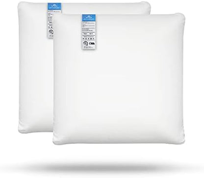  AM AEROMAX 12 ×12 Pillow Insert Memory Foam Throw Pillow Insert Sham Square For Decorative Cushion Bed Couch Sofa Without Deform After Longtime Use