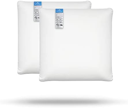  AM AEROMAX 12 ×12 Pillow Insert Memory Foam Throw Pillow Insert Sham Square For Decorative Cushion Bed Couch Sofa Without Deform After Longtime Use