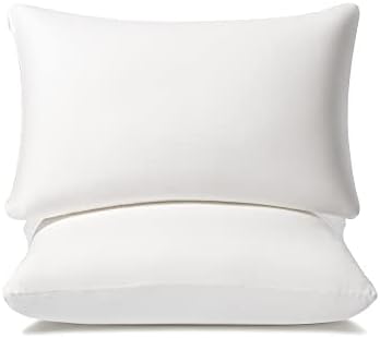  AM AEROMAX 12 ×12 Pillow Insert Memory Foam Throw Pillow Insert Sham Square For Decorative Cushion Bed Couch Sofa Without Deform After Longtime Use