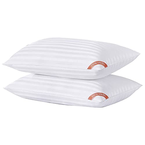  Standard Size Bed Pillows For Sleeping Set Of 2, Hotel Quality Pillows 2 Pack For Side And Back Sleepers, Breathable Cover And Down Alternative Filling, White Piping，20X26 Inches