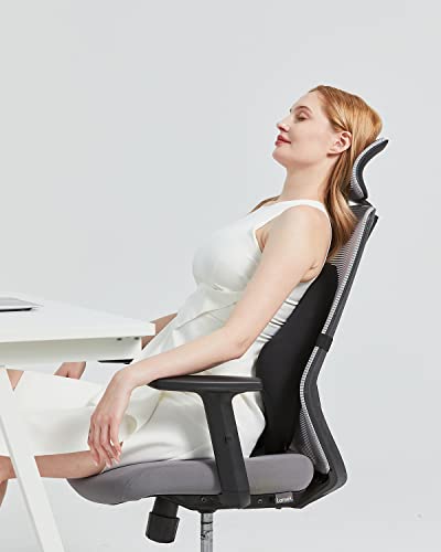  Foamula Vibrating Lumbar Support Pillow, Back Support Pillow With Vibrating Motors For Back Pain Relief, Ergonomic Design With Adjustable Strap For Home Office Chair, Gaming Chair, Car Seat, Plane