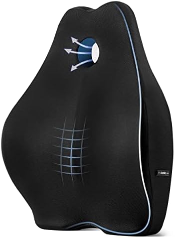  Okayday Ergonomic Lumbar Support Pillow For Office Chair Car Seat Orthopedic Memory Foam Back Cushion With Breathable Mesh Cover, Relieve Back Pain & Improve Posture, Spinal Alignment (Black)