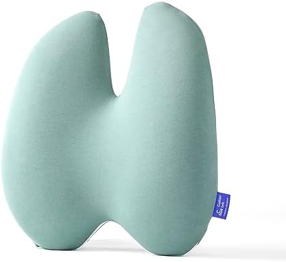  Cushion Lab Extra Dense Lumbar Pillow - Patented Ergonomic Multi-Region Firm Back Support For Lower Back Pain Relief - Lumbar Support Cushion W/Strap For Office Chair, Car, Sofa, Plane - Black