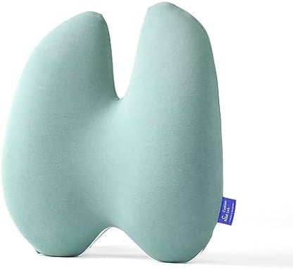  Cushion Lab Extra Dense Lumbar Pillow - Patented Ergonomic Multi-Region Firm Back Support For Lower Back Pain Relief - Lumbar Support Cushion W/Strap For Office Chair, Car, Sofa, Plane - Black