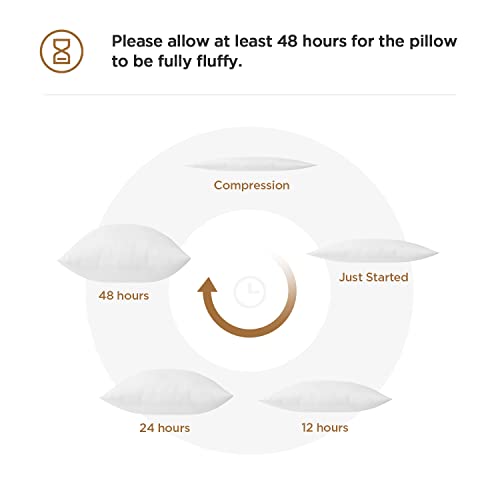  Polyester Decorative Rectangle Throw Pillow Inserts, Hypoallergenic Form Stuffer Cushion Sham Filler, 16x26, White, 1 Count (Pack Of 1)