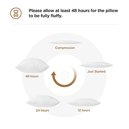  Polyester Decorative Rectangle Throw Pillow Inserts, Hypoallergenic Form Stuffer Cushion Sham Filler, 16x26, White, 1 Count (Pack Of 1)