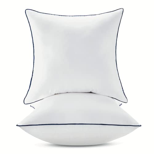 Ichrysania 18 X 18 Pillow Inserts Set Of 2 With 100% Cotton Cover Couch Pillows Bed Pillows Throw 18 Pillow Inserts Sofa Chair Pillows Square Decorative Pillows