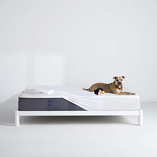  Sleep Waterproof Mattress Protector, Queen, White