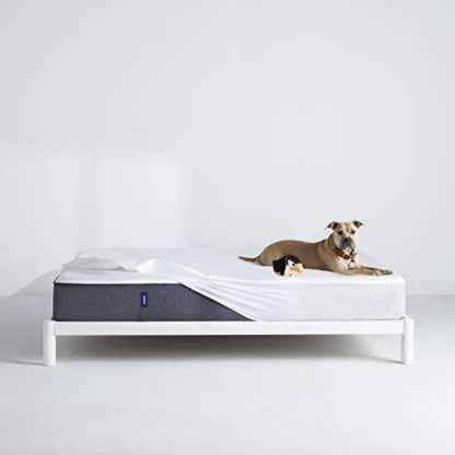  Sleep Waterproof Mattress Protector, Queen, White