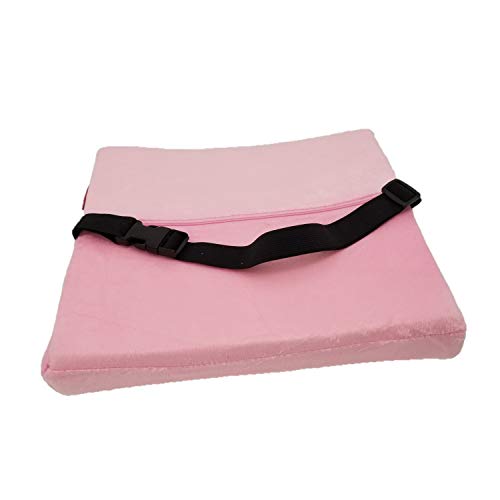  Bookishbunny Premium Memory Foam Lumbar Support Cushion Pillow (Pink)