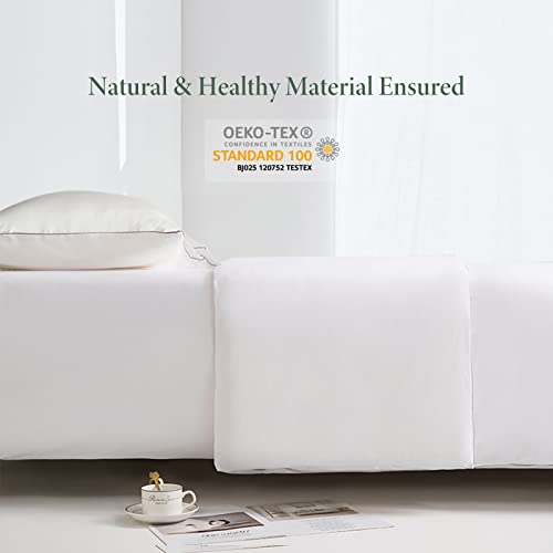  Silk Comforter For Summer With Cotton Shell, Silk Filled Comforter,Silk Quilt, Silk Duvet -Ultra Soft, Light Weighted-100% Top Grade Mulberry Silk, King Size, White