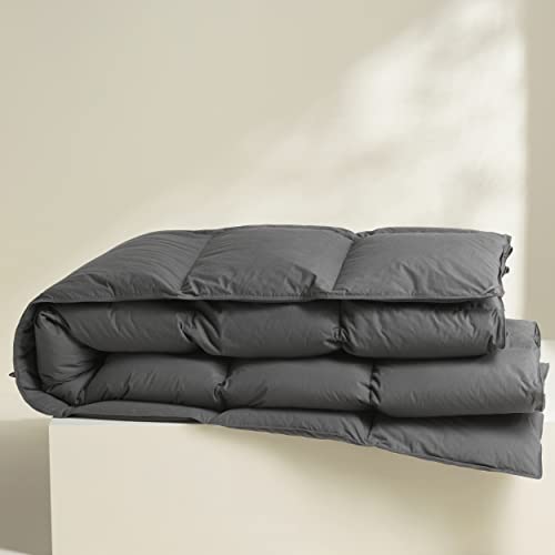  LESNNCIER Luxury Medium Warmth Feather Down Comforter Queen Size,Hotel Collection All Season Duvet Insert, Ultra Soft Down Proof Polycotton Cover With 8 Tabs（Grey,90"x90"）