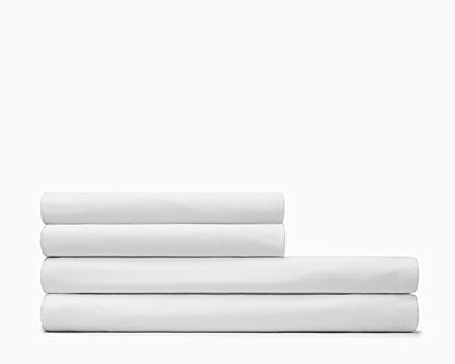 Calvin Klein Modern Cotton Body Solid Set Of 2 Pillowcases, Standard Size, Cotton Modal 170 GSM (White)