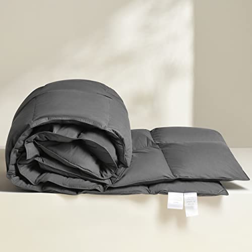  LESNNCIER Luxury Medium Warmth Feather Down Comforter Queen Size,Hotel Collection All Season Duvet Insert, Ultra Soft Down Proof Polycotton Cover With 8 Tabs（Grey,90"x90"）