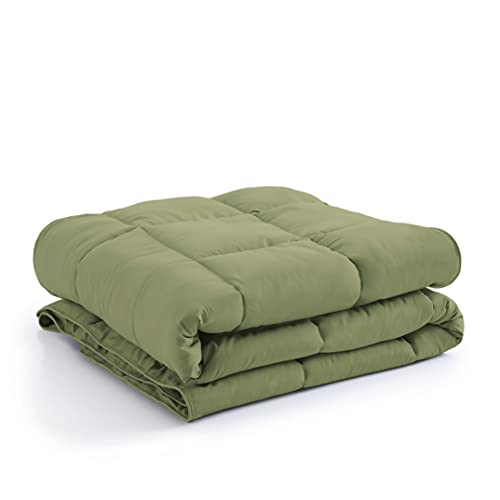  Southshore Fine Living, Inc. Vilano Springs Premium Quality Over-Sized All-Season Down-Alternative Comforter, Sage Green, Twin/Twin XL