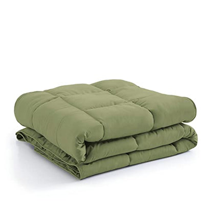  Southshore Fine Living, Inc. Vilano Springs Premium Quality Over-Sized All-Season Down-Alternative Comforter, Sage Green, Twin/Twin XL
