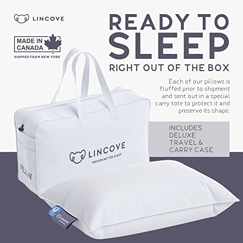  Lincove Canadian Down Feather Travel Pillow - Plush Luxury Pillows To Support Head, Neck, While Sleeping On Airplanes, Cars, Camping, Hotels & Home - Comfortable Vacation Sleeping Essential, 13"x18"