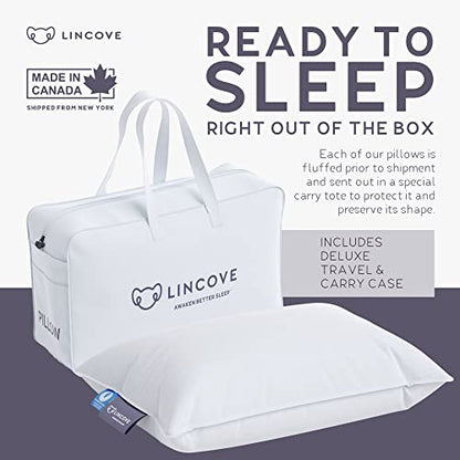  Lincove Canadian Down Feather Travel Pillow - Plush Luxury Pillows To Support Head, Neck, While Sleeping On Airplanes, Cars, Camping, Hotels & Home - Comfortable Vacation Sleeping Essential, 13"x18"