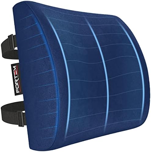  FORTEM Lumbar Support Office Chair, Lumbar Support Pillow For Car, Office Chair Back Support, Lumbar Pillow For Desk Chair, Memory Foam Back Cushion, Washable Cover (Mesh, Black)