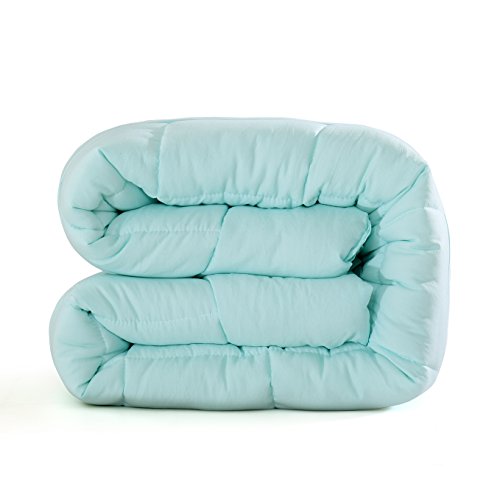  EVOLIVE All Season Pre Washed Soft Microfiber White Goose Down Alternative Comforter With Box Stitching (Mint, Full/Queen)