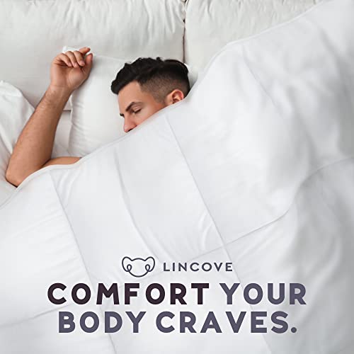  Canadian Down Comforter – All-Season Warmth Duvet Insert – Corner Loops In Each Corner, 600 Thread Count - 100% Cotton Sateen Shell, Queen