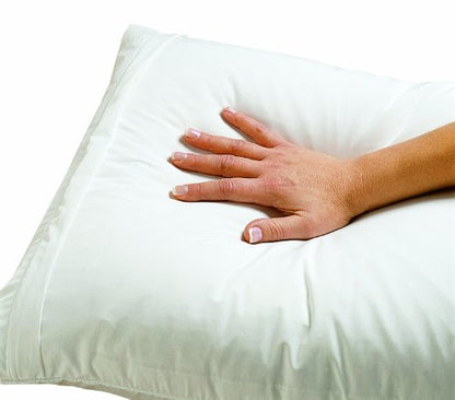  Dust Mite And Allergen Proof Pillow Encasing (Cover); Premium Microfiber (King)