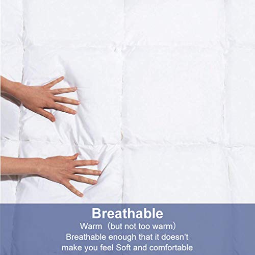  Comforter Queen Size White All Season Reversible Down Alternative Duvet Insert With Corner Tabs - Quality Winter Warm Soft Comforter (White,Queen,88"x88")