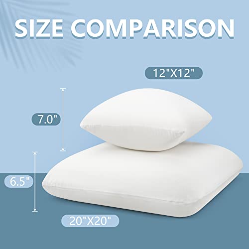  AM AEROMAX 12 ×12 Pillow Insert Memory Foam Throw Pillow Insert Sham Square For Decorative Cushion Bed Couch Sofa Without Deform After Longtime Use