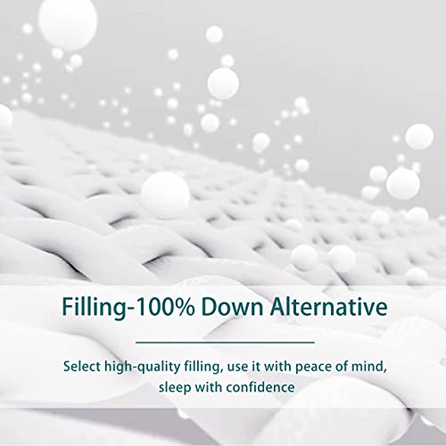  Down Alternative Comforter Queen-90X90 Inches Size All Season Duvet Insert White Soft Brushed Microfiber Cover Skin-Friendly Noiseless Quilted Comforter
