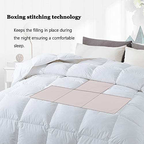  Feather Down Comforter Queen Size - All Season White Down Duvet Insert- Luxurious Hotel Bedding Comforters With 100% Cotton Cover - Queen 90 X 90 Inch