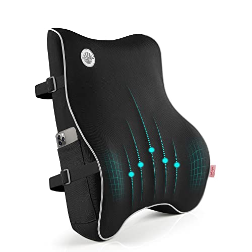  Lumbar Support Pillow,Memory Foam Back Support For Office Chair,Computer Chair,Car Seat,Recliner And Couch With Breathable 3D Mesh Cover,Ergonomic Design Orthopedic Backrest For Back Pain Relief