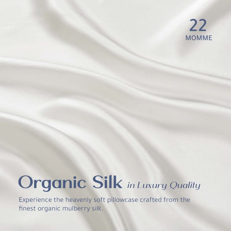  RENESSY Organic Silk Pillowcase - 100% Organic Mulberry Silk, 22 Momme, Naturally Hypoallergenic, Promotes Hair And Skin Health, 1 Piece (Queen Size 20x30 Inches, Natural Silk Off-White)
