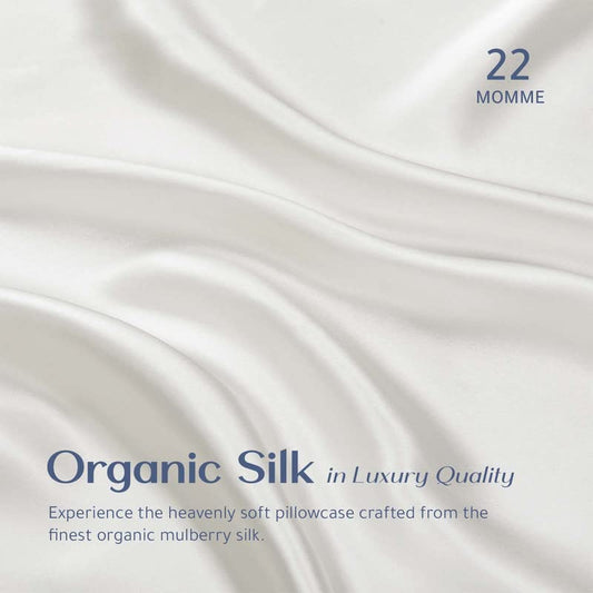  RENESSY Organic Silk Pillowcase - 100% Organic Mulberry Silk, 22 Momme, Naturally Hypoallergenic, Promotes Hair And Skin Health, 1 Piece (Queen Size 20x30 Inches, Natural Silk Off-White)