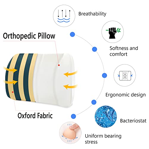  Logicfox Lumbar Support Back Pillow For Office Chair, Memory Foam Back Pillows For Improve Sitting Posture & Back Pain Relief, Striped Lumbar Support Pillow For Car, Chair, Gaming, Recliner (Blue)