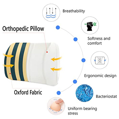  Logicfox Lumbar Support Back Pillow For Office Chair, Memory Foam Back Pillows For Improve Sitting Posture & Back Pain Relief, Striped Lumbar Support Pillow For Car, Chair, Gaming, Recliner (Blue)
