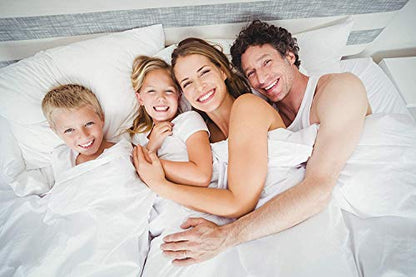  All Season Down Alternative Comforter - Plush Microfiber Fill - Box Stitch Quilted - Duvet Insert With Corner Tabs (Full/Queen, White)