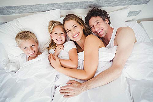  Chezmoi Collection All Season Down Alternative Comforter - Plush Microfiber Fill - Box Stitch Quilted - Duvet Insert With Corner Tabs (King, White)