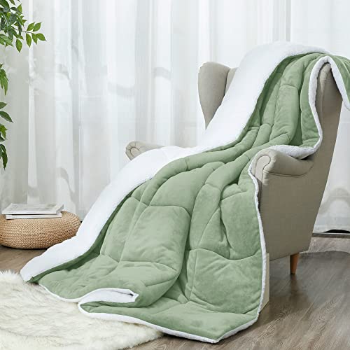  ART DEMO Home Sherpa Fleece All Season Ultra Soft Hypoallergenic Comforter Bed Set With Pillow Shams For Dorm, 2 Piece, Twin Size, Sage Green (SHPA-TWN-SG)
