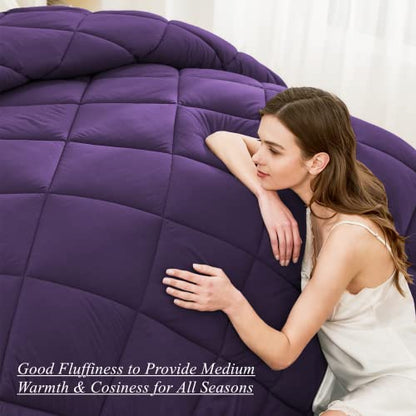  ELNIDO QUEEN 3 Pieces Comforter Set (Full, Purple & Grey) - 1 Reversible Down Alternative Comforter With 2 Pillow Shams - Soft Lightweight Duvet Insert | 82x86 Inch