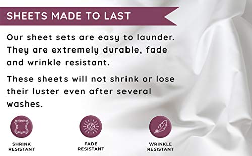  Bird Collection, 3-Piece, 14-Inch Deep Pocket Sheet Set, Easy Care, Shrinkage Free Sheet Set With 1 Flat Sheet, 1 Fitted Sheet, 1 Pillowcase, Blue, Twin XL