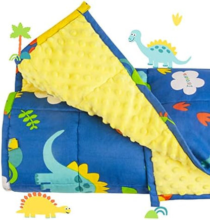  Sivio Weighted Blanket Kids, 5 Pounds, Minky Fleece And Cotton Throw Blanket With Beads, Reversible Heavy Blanket For Children 30-50 Lbs, 36x48 Inch, Blue Airplane