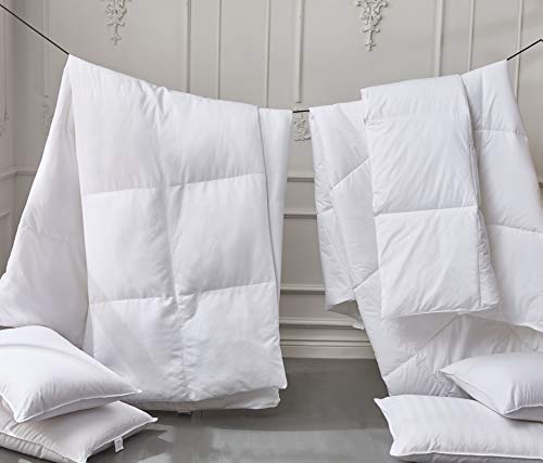 Kathy Ireland White Feather Goose Down Comforter-All Season Warmth, Twin