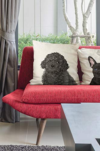  WIRESTER Sofa Pillow Case, Decorative Throw Pillow Cushion Cover For Home Office 18 X 18 Inch, Cute Grey Toy Poodle