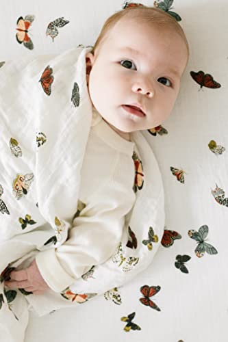  Uslin Infant Swaddles (Butterfly Swarm)