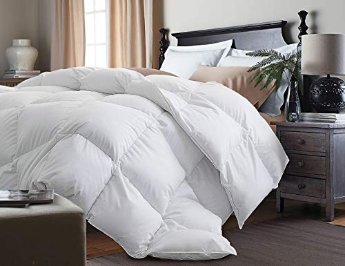  Kathy Ireland White Feather Goose Down Comforter-All Season Warmth, Twin